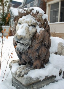 Lion in Winter