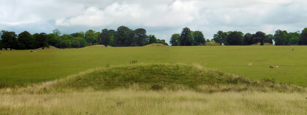 Stonehenge burial mounds