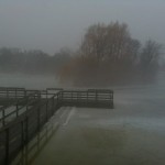 Misty Dock and Island