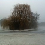 Powderhorn Island in Mist