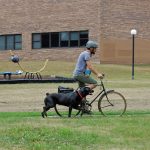 Biker with Dog